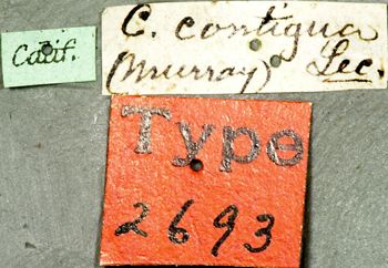 Media type: image;   Entomology 2693 Aspect: labels